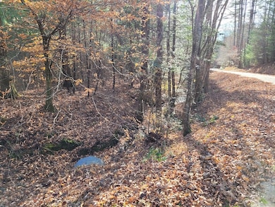 Lot 31 Poplar Cove, Hayesville, NC 28904 - photo 4