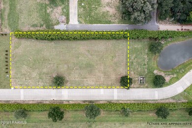 DJI_0197-Edit (1)