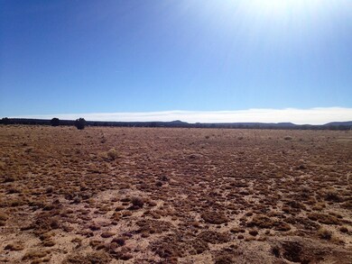 10 Off of Tanner Rd, Ash Fork, AZ 86320 - photo 2