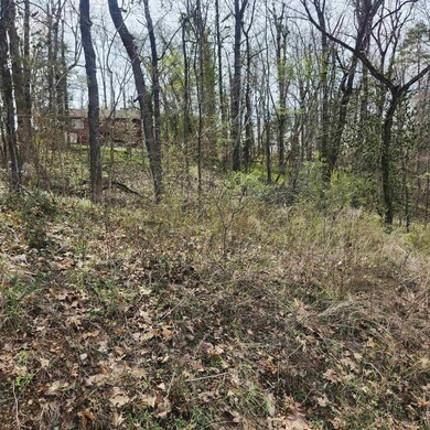 L-6, B-4 Tomahawk Dr, Cherokee Village, AR 72529 - photo 4