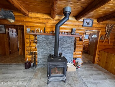 Mi 0.8 Nabesna Rd, Slana, AK 99586 - photo 7