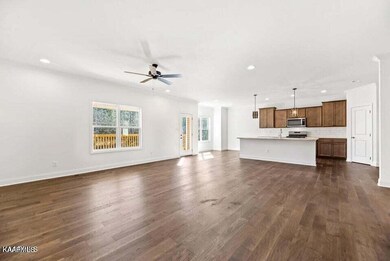 12644 Izzy Mule Ln, Knoxville, TN 37932 - photo 7