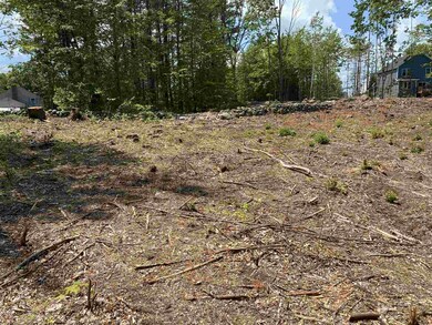 29 High Meadow Rd, Moultonborough, NH 03254 - photo 7