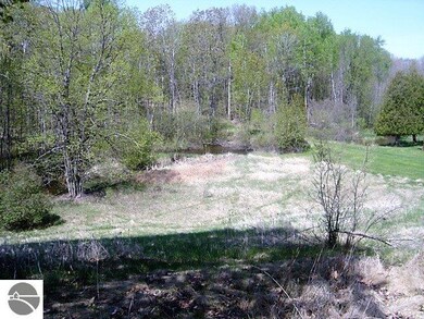 3413 Pine St, Hale, MI 48739 - photo 4