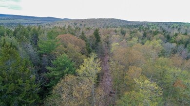 DJI_0023-2