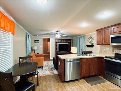 215 S Valley View Rd unit 262, Donna, TX 78537 - photo 3