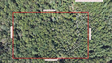 Property Lines 2