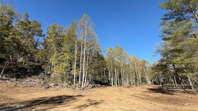 0 E Mineral-Koleen Rd unit LotWP001 21731527, Owensburg, IN 47453 - photo 7