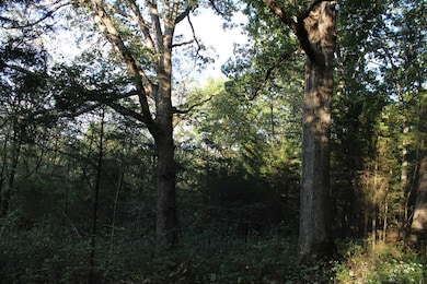 2728 Pea Ridge Rd, Germantown, KY 41044 - photo 4