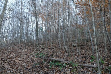 0 Bristol Hwy unit LotWP001, Bristol, VA 24202 - photo 6