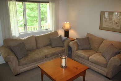 75 E Birch Rd unit 35, Stratton, VT 05360 - photo 5