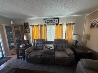 219 Las Palmas Blvd, North Fort Myers, FL 33903 - photo 6