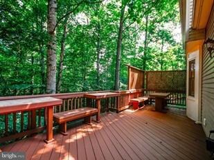 8706 Shadowlake Way, Springfield, VA 22153 - photo 7