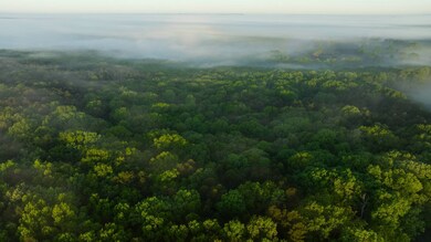 22474 State Hwy N, Squires, MO 65755 - photo 2