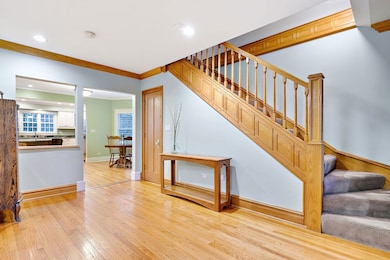 317 N Oak St, Elmhurst, IL 60126 - photo 4