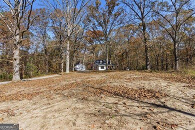 214 Bruce Rd, Douglasville, GA 30134 - photo 4