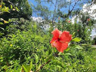 0 S Nenue St unit 725903, Pahoa, HI 96778 - photo 4