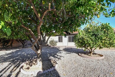 4737 E Flower Circle (5)