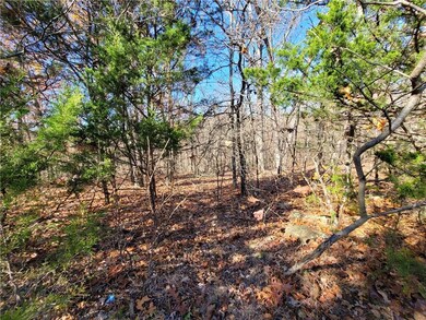 8 Acres Devils Den Rd, Winslow, AR 72959 - photo 6