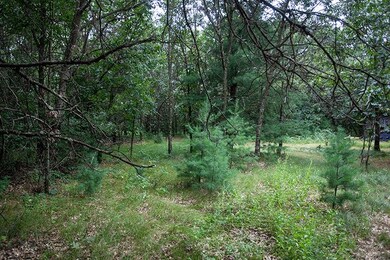 Lot 27 10th Ave, Adams, WI 53910 - photo 5