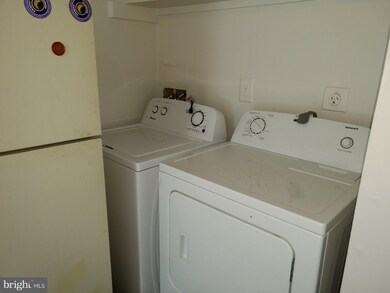 1003 N Central Ave, Baltimore, MD 21202 - photo 7