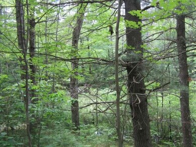 ON McCarthy Lake Rd, Tomahawk, WI 54487 - photo 6