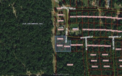 0 Sycamore Ln unit 21013469, Plantersville, TX 77363 - photo 7