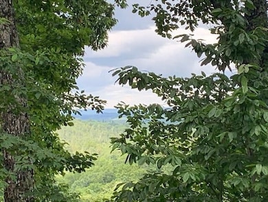 38 Gray Rock View, Pikeville, TN 37367 - photo 6