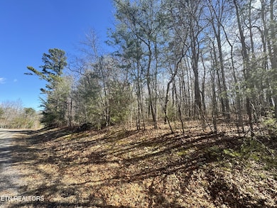 0 N Laurel Loop unit RTC2962883, Monterey, TN 38574 - photo 3