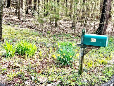 269 N Shore Rd, Spofford, NH 03462 - photo 5