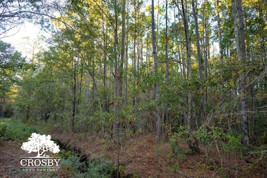 Tbd Lemon Rd, Walterboro, SC 29488 - photo 6