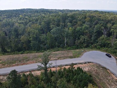 121 Shepherd Loop Dr, Arkadelphia, AR 71923 - photo 5