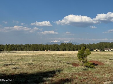 Mt Humphrey from tent site