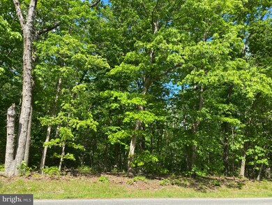 00 Monroeville Rd, Mullica Hill, NJ 08062 - photo 3