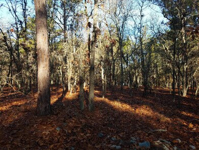 20161215_090349