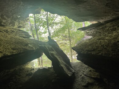 601 Whitaker Bend Rd, Linden, TN 37096 - photo 7