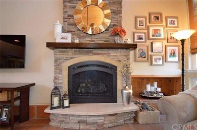Family/Great Room Fireplace