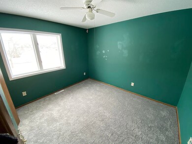 Brand New Carpet