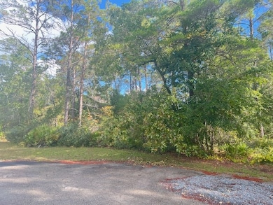 1014 Sunset Cir, Carrabelle, FL 32322 - photo 3