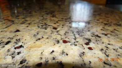 612 Cicero Dr, Ruther Glen, VA 22546 - photo 5