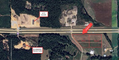 aerial map