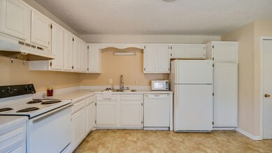 Alternate view of large kitchen with cabinets and a tall cabinet/pantry as well.  Microwave and fridge stay.