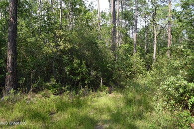 00 Avocado St, Bay Saint Louis, MS 39520 - photo 2