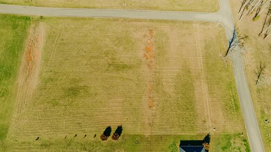 23 Grand Trace, Nancy, KY 42544 - photo 5