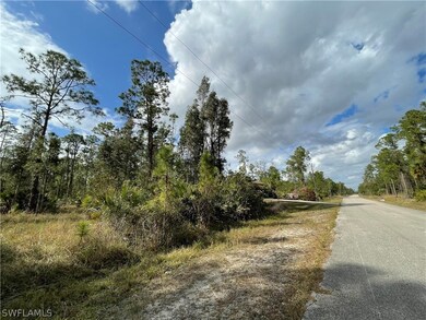 2119 Truman Ave, Alva, FL 33920 - photo 3