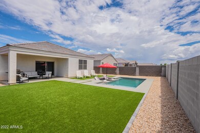 New Turf Backyard