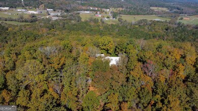 739 Barnes Mill Rd, Hamilton, GA 31811 - photo 6