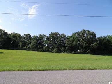 180 Deerfield Cir, Benton, KY 42025 - photo 6