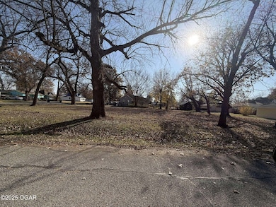 325 N Delaware Ave, Columbus, KS 66725 - photo 3