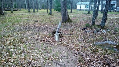 3138 S Woodin Dr, Baldwin, MI 49304 - photo 6